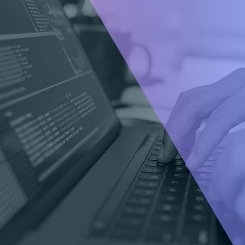 Web & Mobile App Development